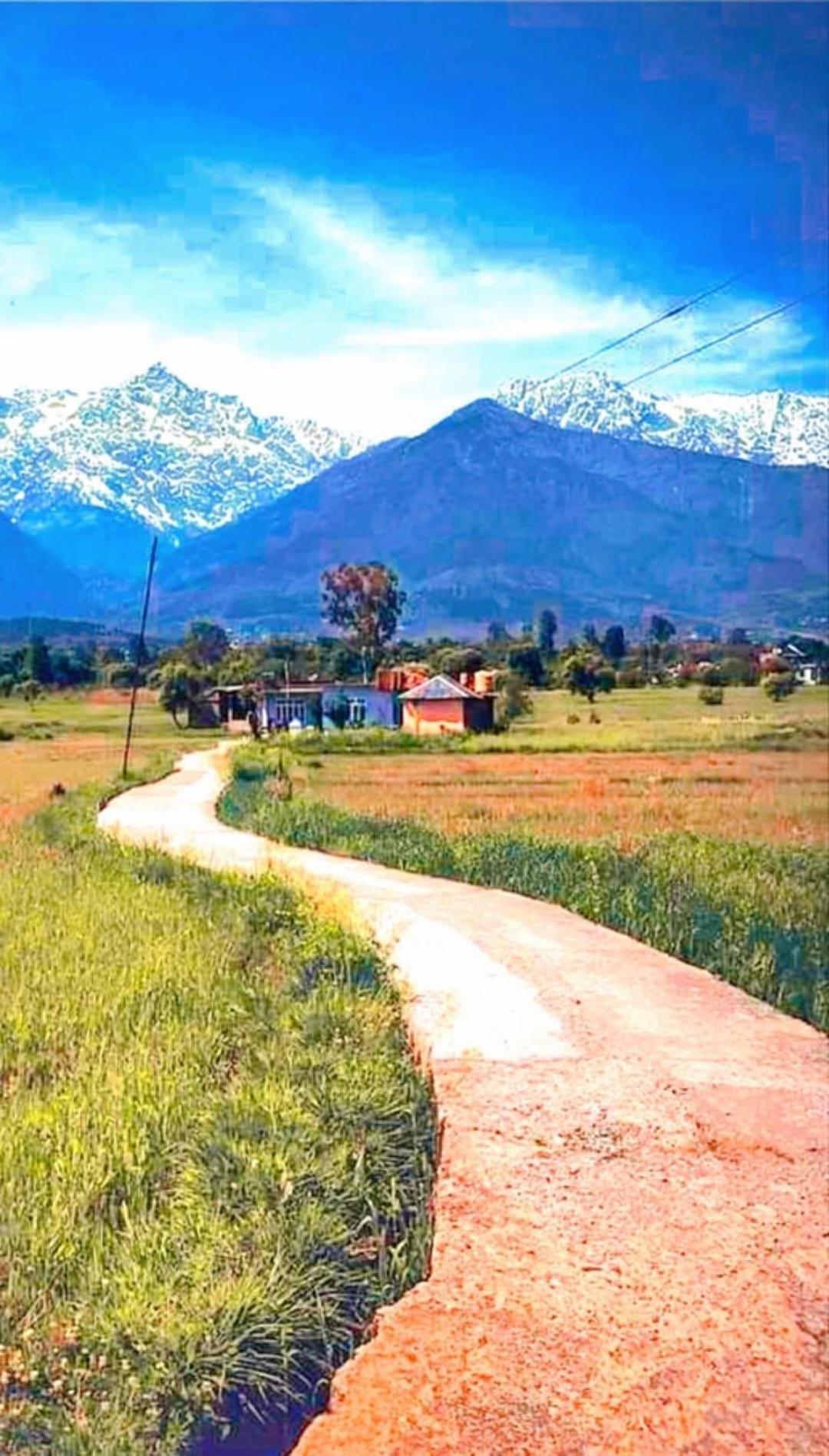 Aditya Homestay דלהאוזי מראה חיצוני תמונה