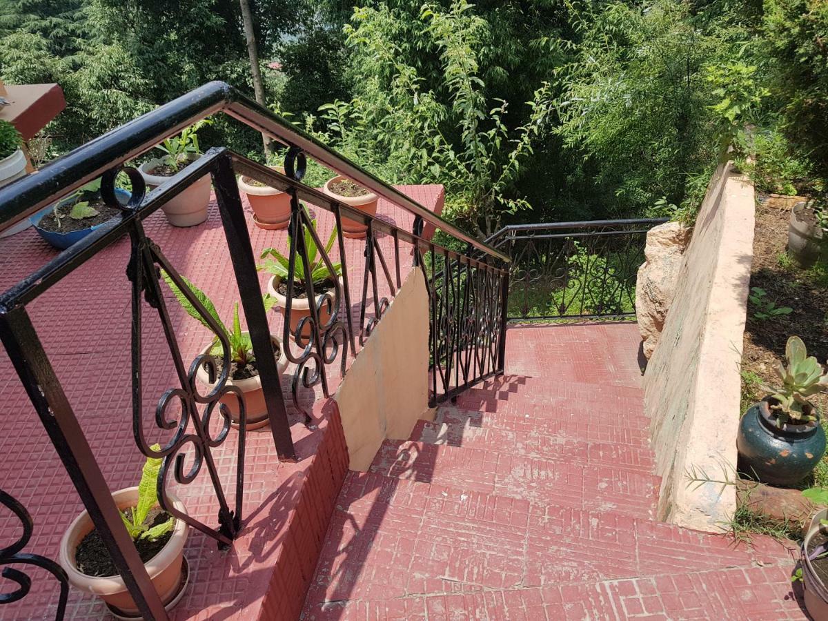Aditya Homestay דלהאוזי מראה חיצוני תמונה